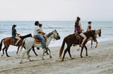 horseback riders on the beach